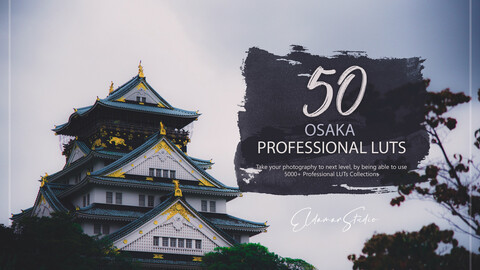 50 Osaka LUTs and Presets Pack