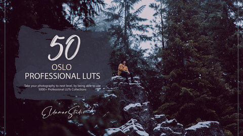 50 Oslo LUTs and Presets Pack