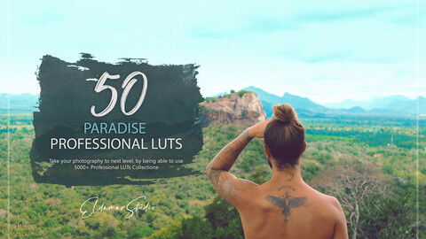 50 Paradise LUTs and Presets Pack