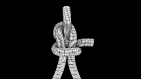 perfection loop knot