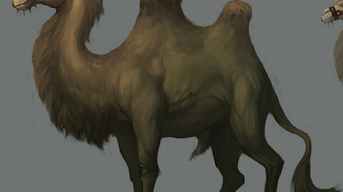 Low poly 3D characters-Camel