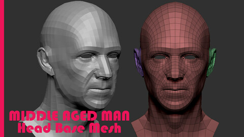 Head Base Mesh for games (Middle Aged Man)