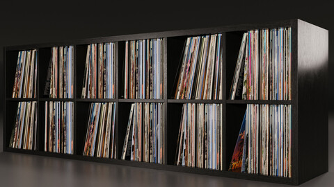 Vinyl Storage No_12