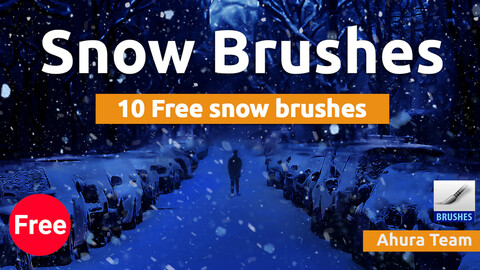 Snow brush set (Free)
