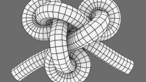 terminal knot