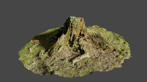 Tree Stump 3 - Photoscan