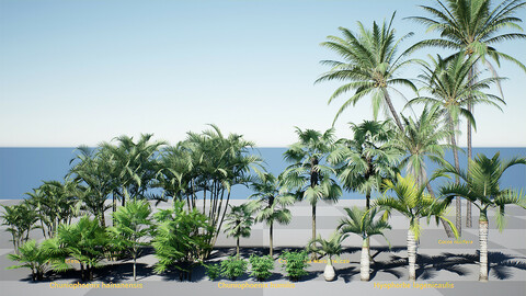 HQ Plants Volume 2 Palms for unreal engine 4 3D model set of 24