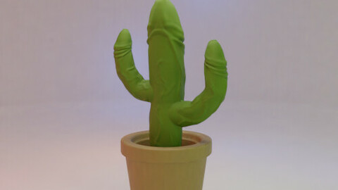 Exotic Cactus