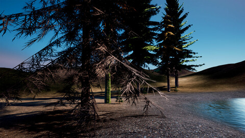 Spruce tree Pack UE5-4