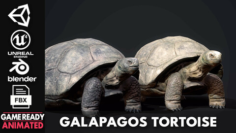 Galapagos Tortoise  - Game Ready