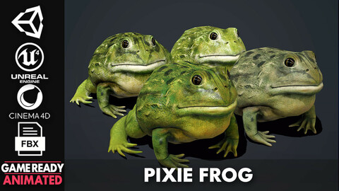 Pixie Frog - Game Ready