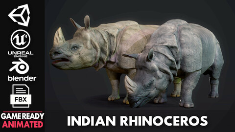Indian Rhinoceros - Game Ready