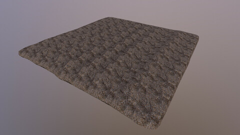 Field Soil  3D Model