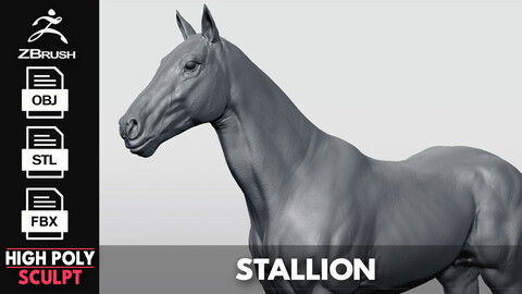 Realistic Horse - Sculpt