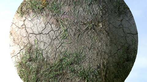 Dry Grass And Dirt 2 PBR Material