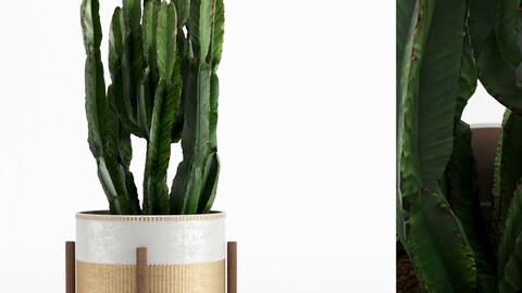 Decorative Vase_ 435_004