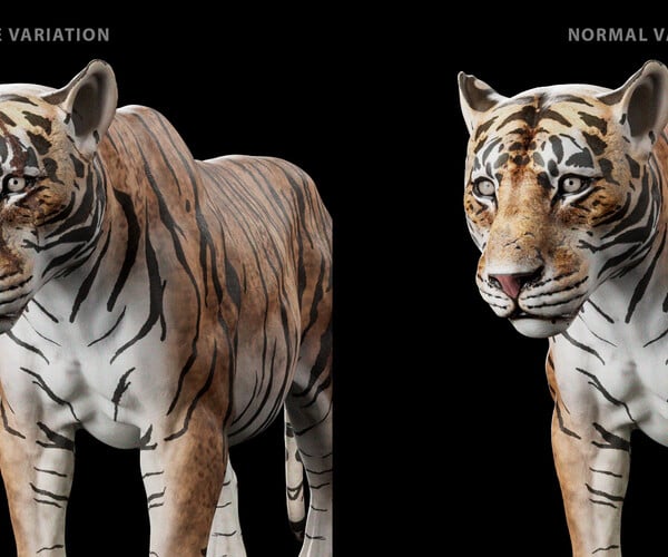 ArtStation - Tiger Animated 3d Model