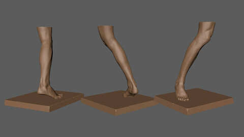 Leg statue model