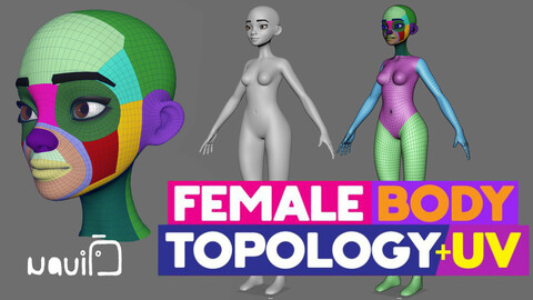 Stylized_Female_Body