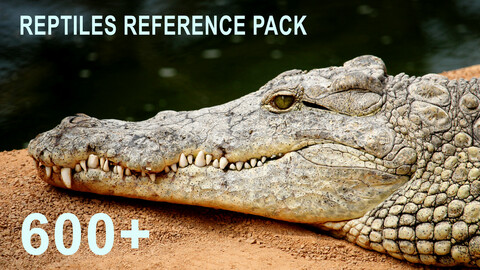 700+ Reptiles - Pack References