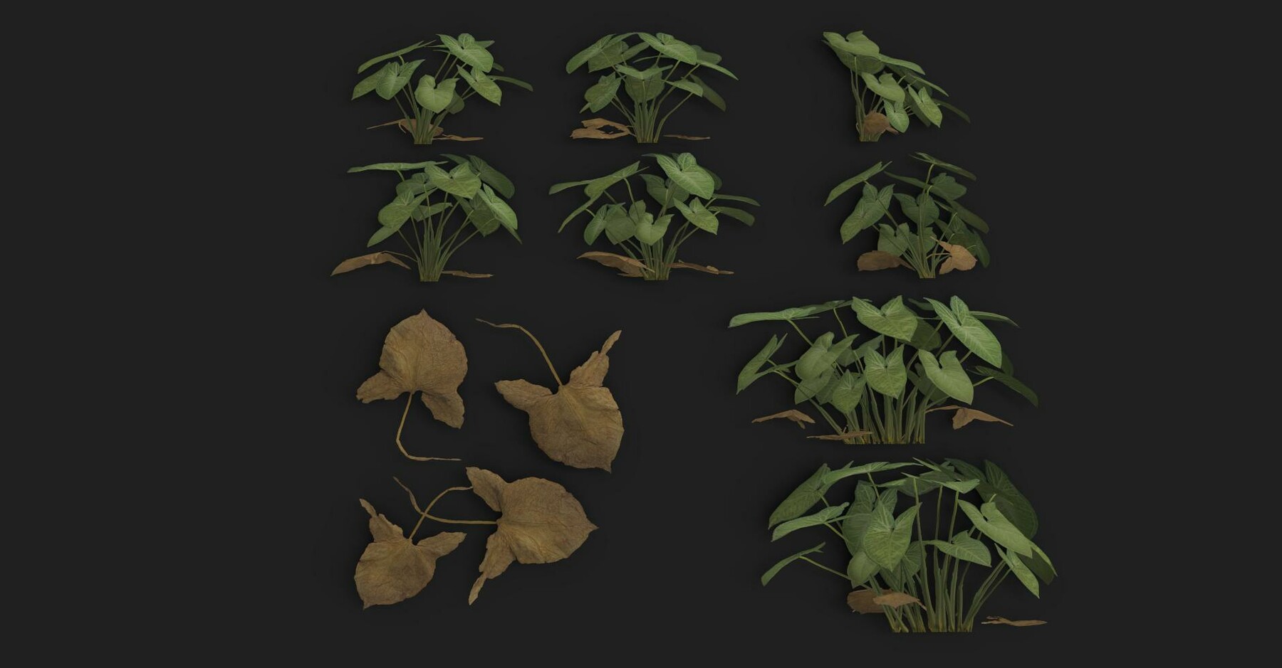 ArtStation - Arrowhead plant | Game Assets