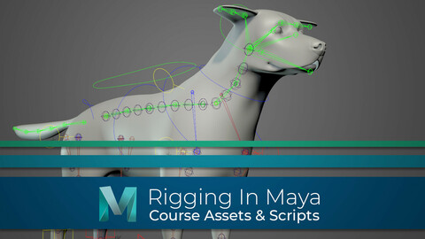 Rigging In Maya: Quadruped - Full Course + Scripts