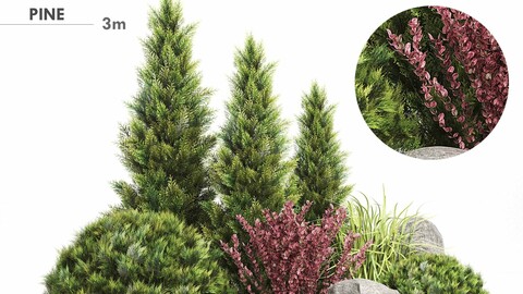 Set Plants 223 - Outdoor Garden