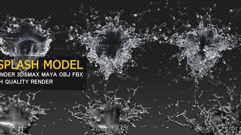 Water Splash 3D Model