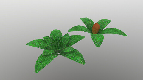 Low Poly Tropical Plant 3D Model
