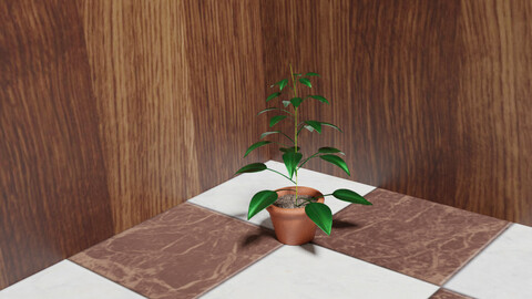 Plant Vase 3D