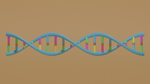 Cartoon DNA 3D Model