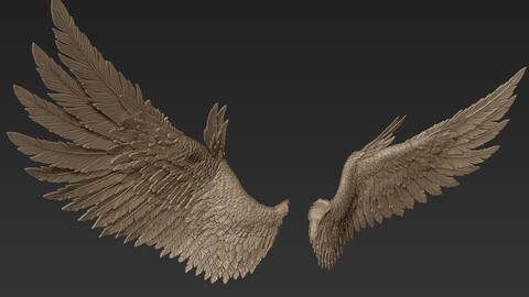 Wings Sculpt 2