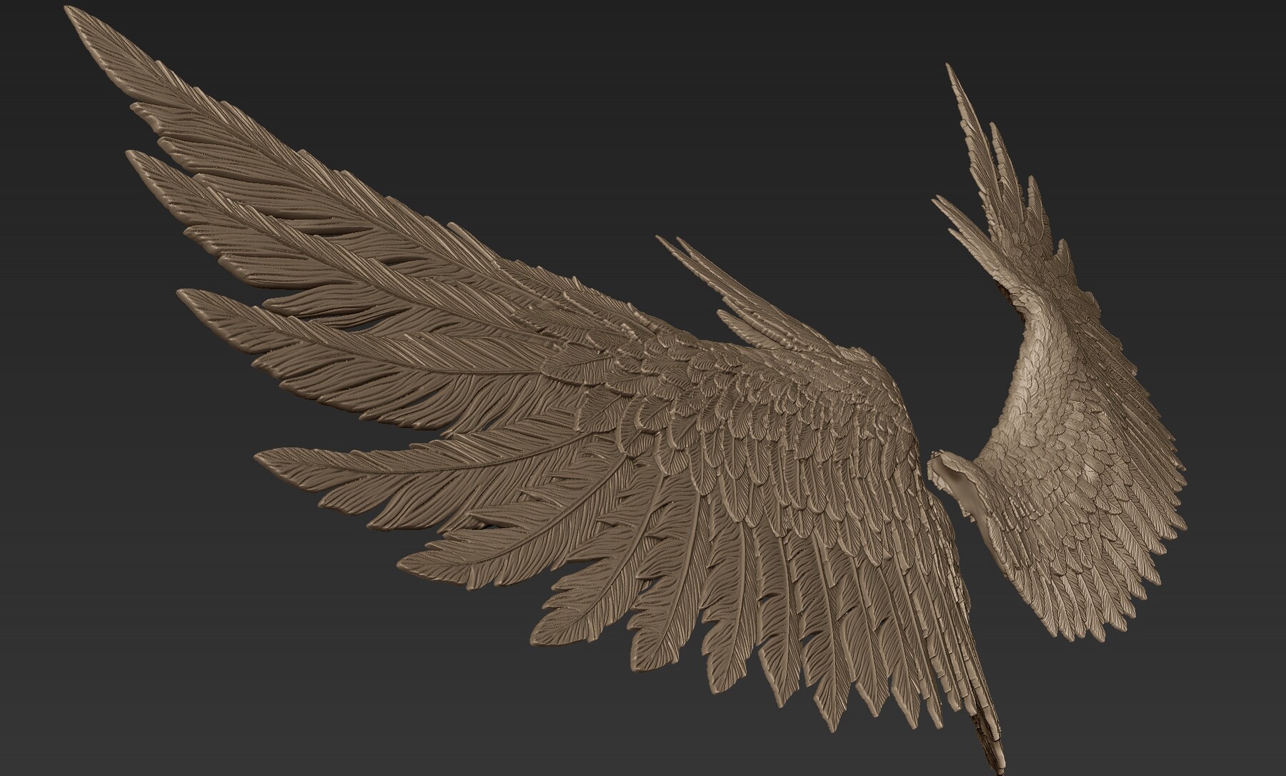 ArtStation - Wings Sculpt 2 | Resources