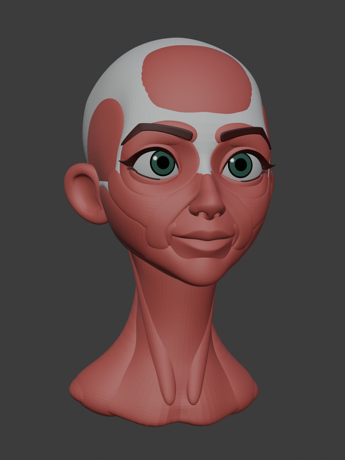 ArtStation - Stylized Head *Anatomy | Resources