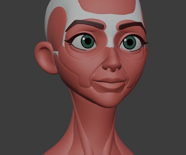 ArtStation - Stylized Head *Anatomy | Resources