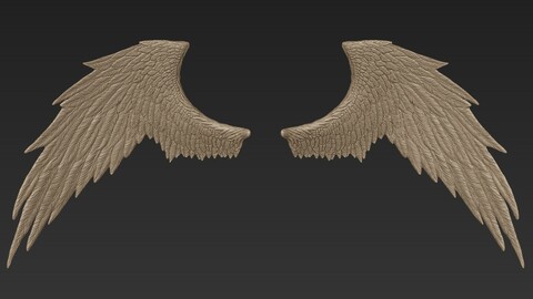 Wings Sculpt 3