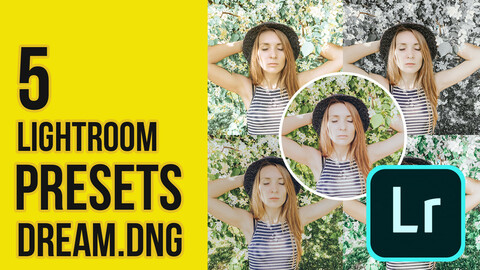 Dream Presets DNG for Lightroom