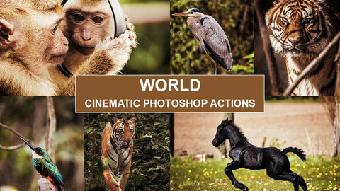 PHOTOSHOP ACTIONS – Photography Photo Editing, Photoshop Edit