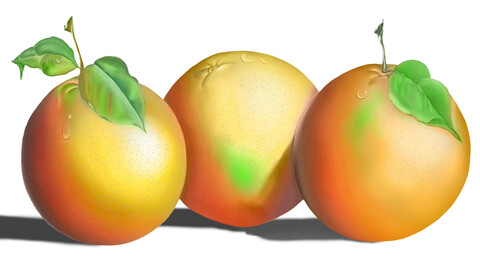 Painting orange fruits