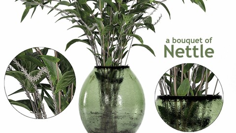 A bouquet of Nettle and Magnolia