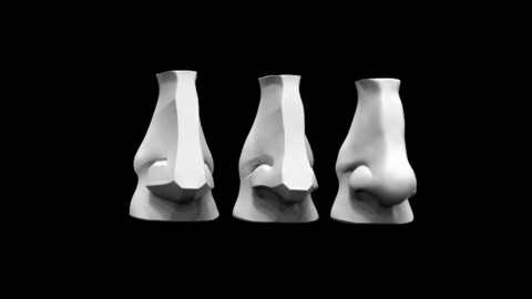 Planes of The Nose (David's Nose)