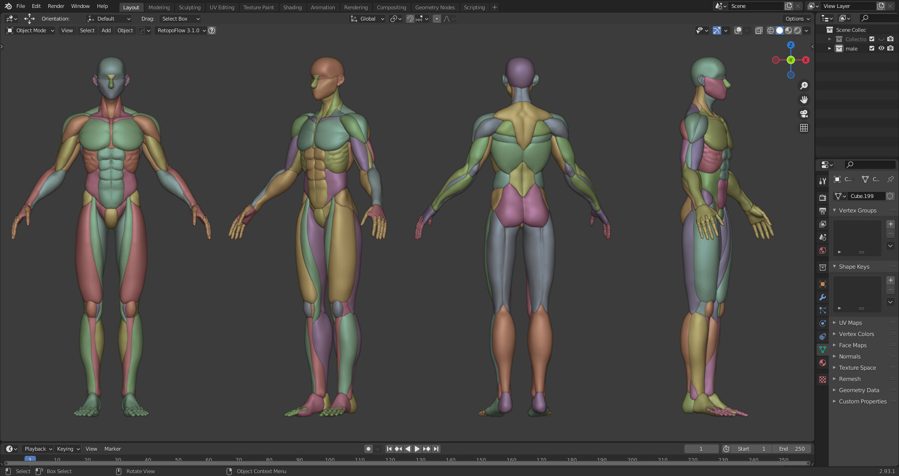 ArtStation - Male, Stylized Muscle 3d Model | Resources