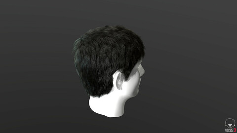 3D model 3D Hair style for girl V51 VR / AR / low-poly