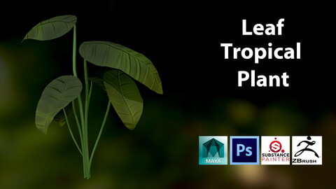 Stylize Leafy Tropical Plant