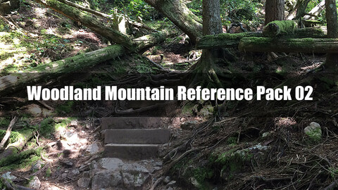 Woodland Mountain Reference Pack 02