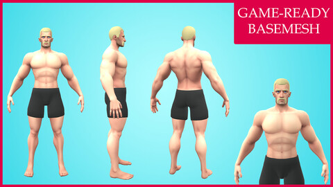 Rognek: Cartoon Basemesh Male Character- Rigged