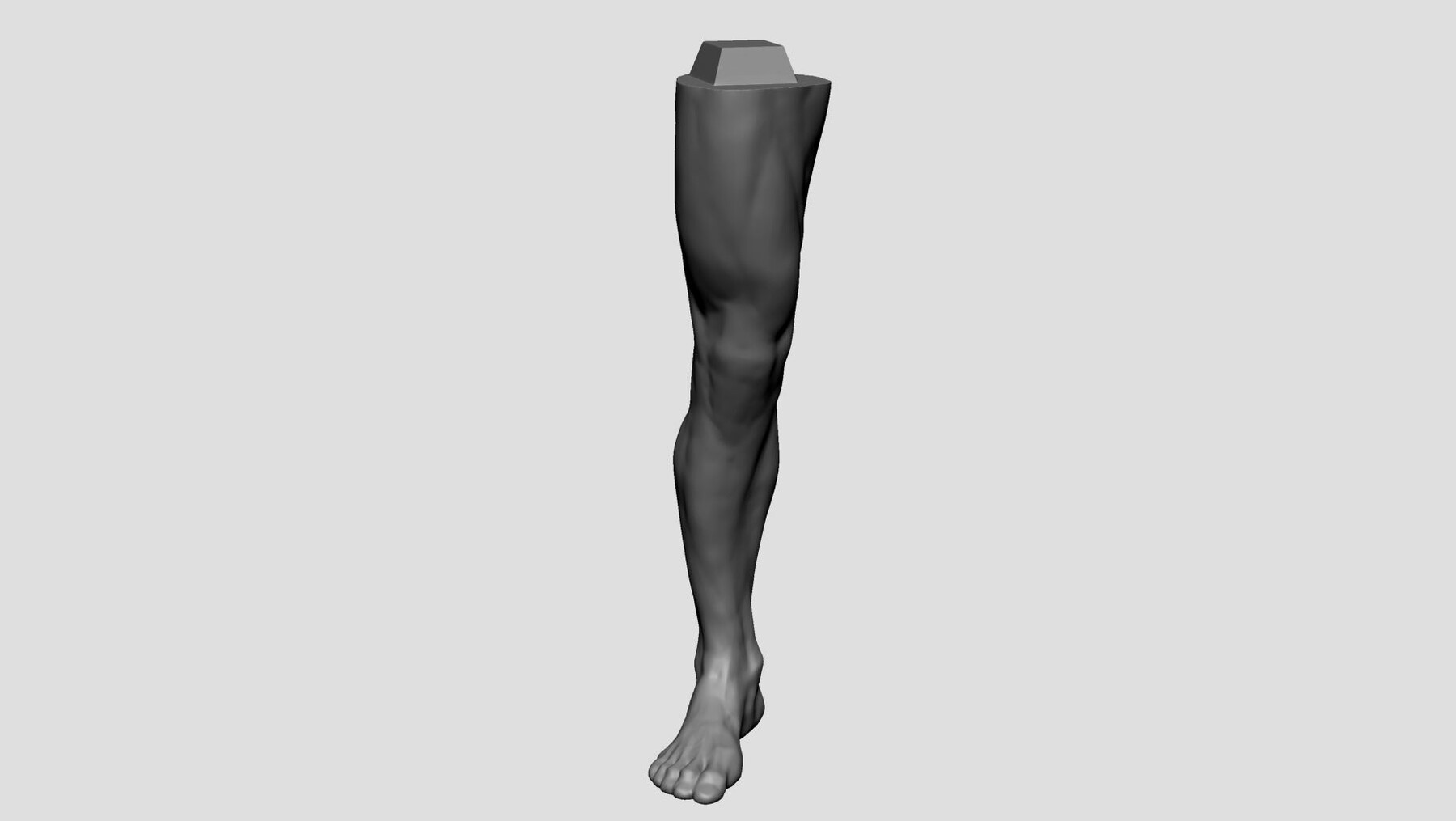 ArtStation - Male Anatomy Printable v2 | Resources