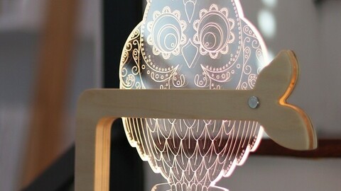 LED Acrylic Mood Light_Owl