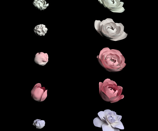 ArtStation - 5 Animated Blooming Flowers | Resources