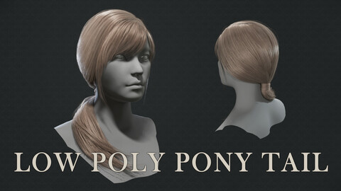 Low poly pony tail
